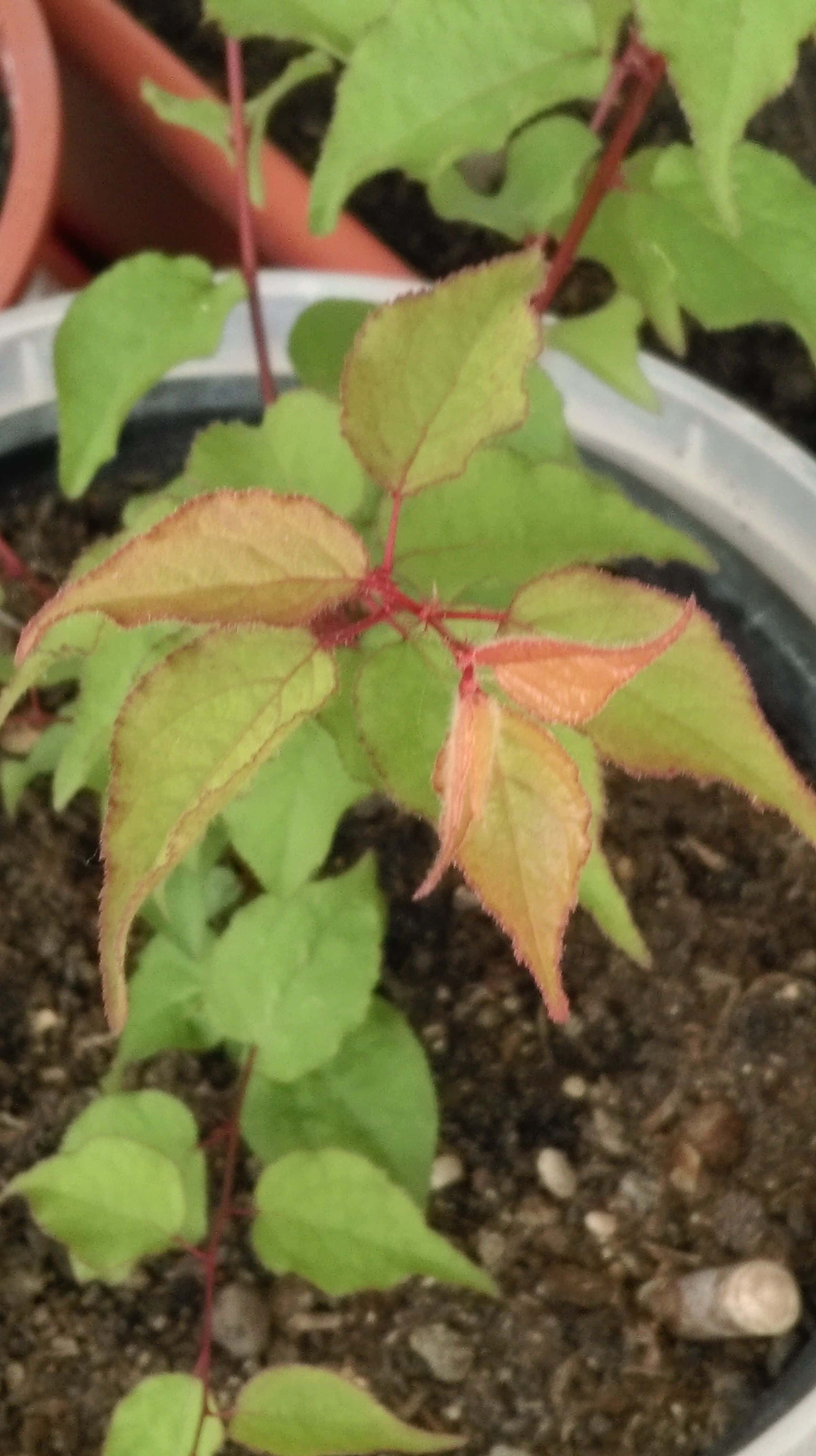 IMAG0025