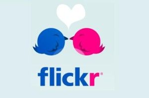 flickr-2