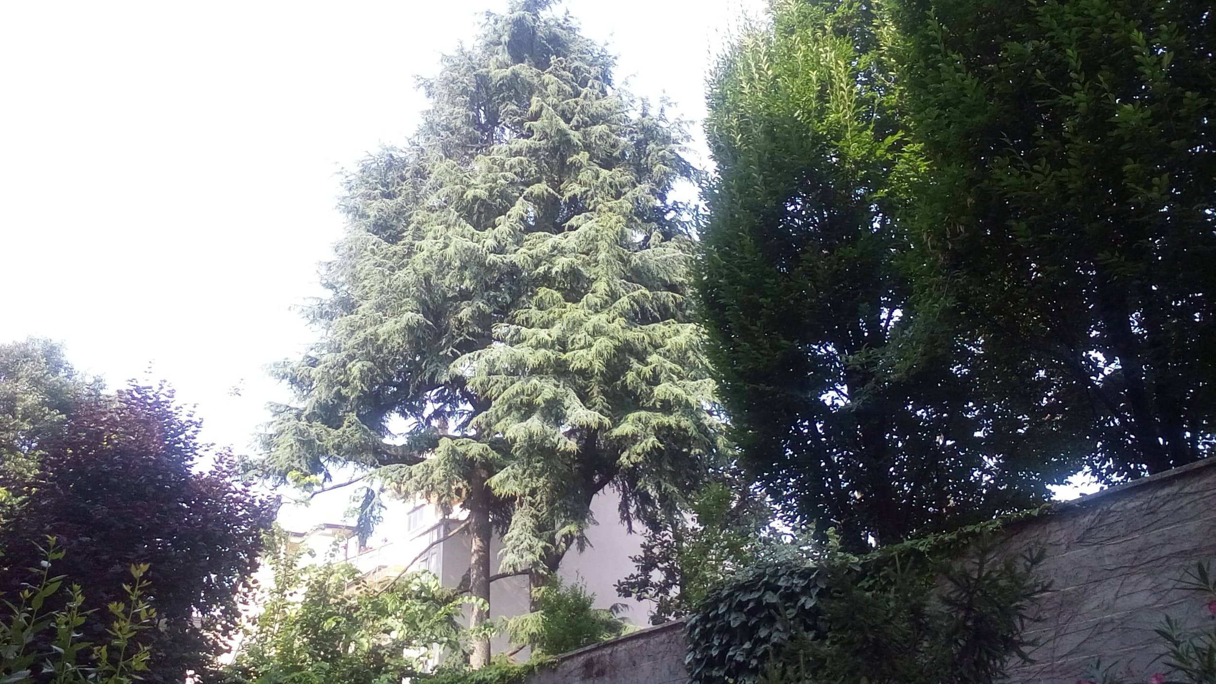 20150623_092017