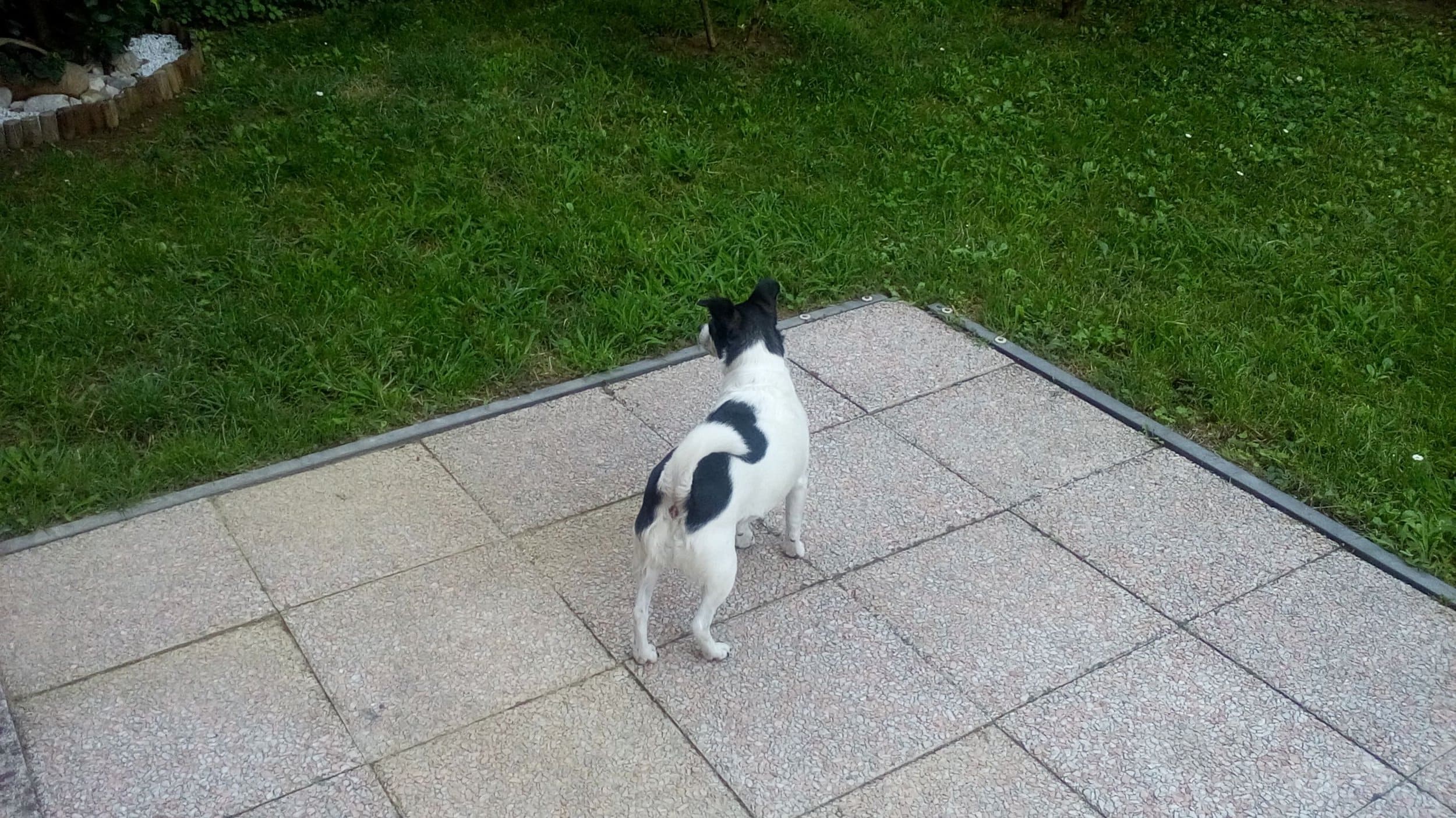 20150623_092020