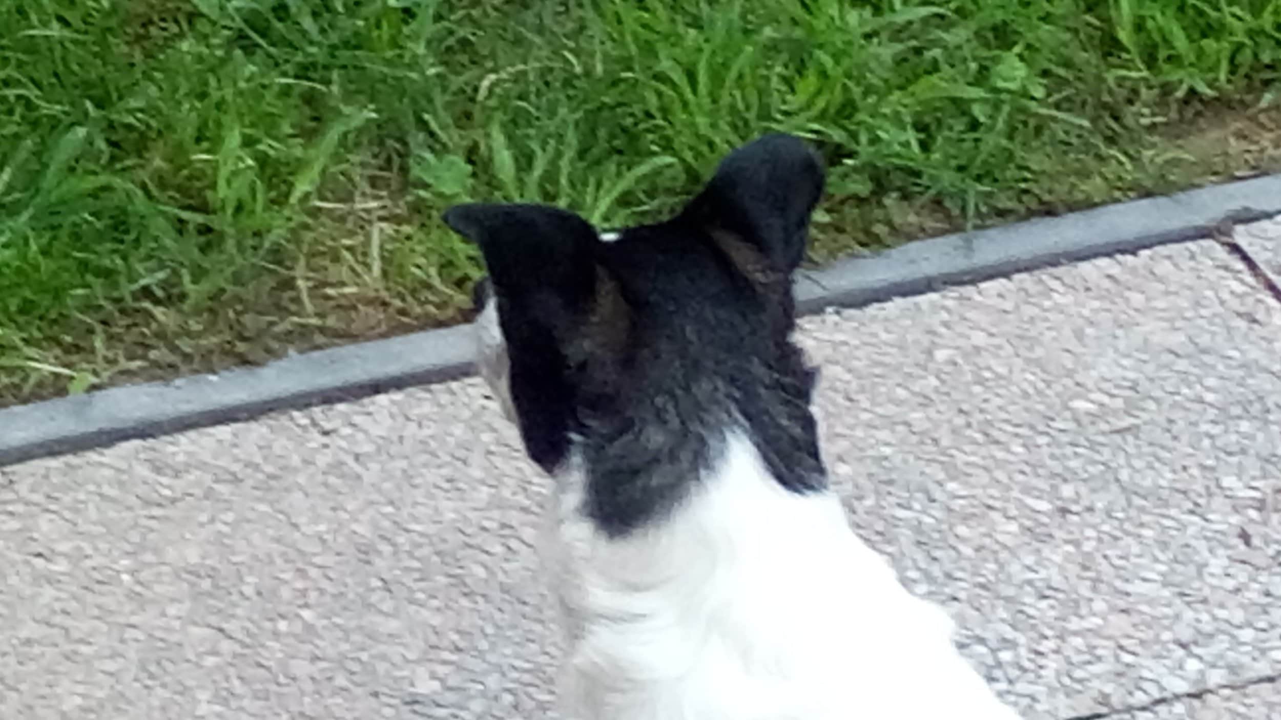 20150623_092037