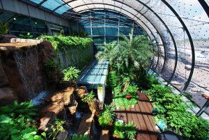 tripadvisor aeroporti