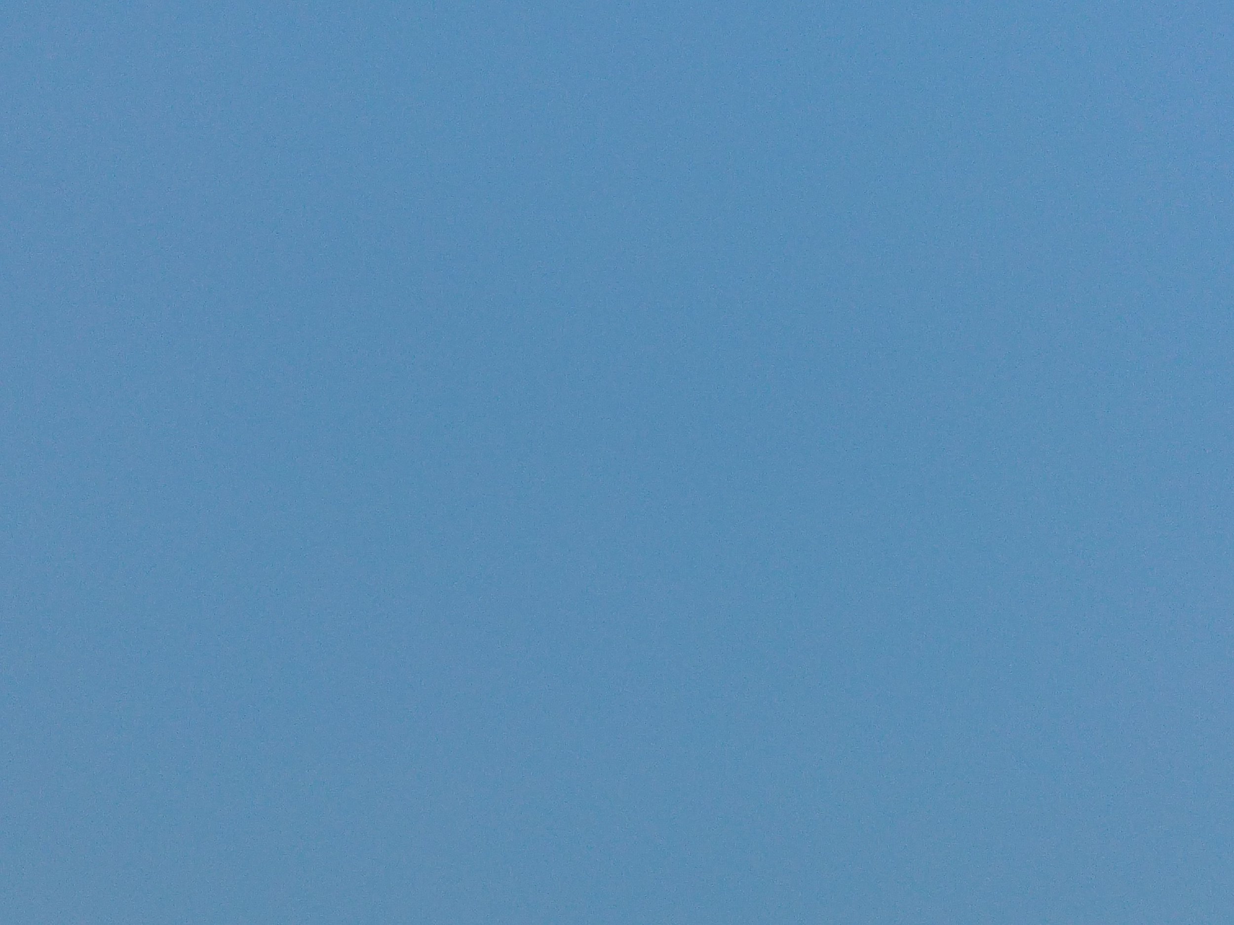 LG G4 (19)