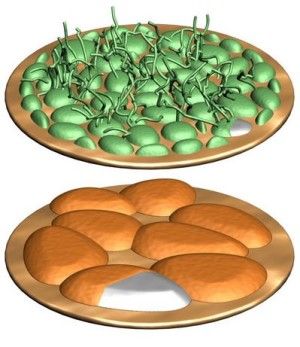 batteries-deformation