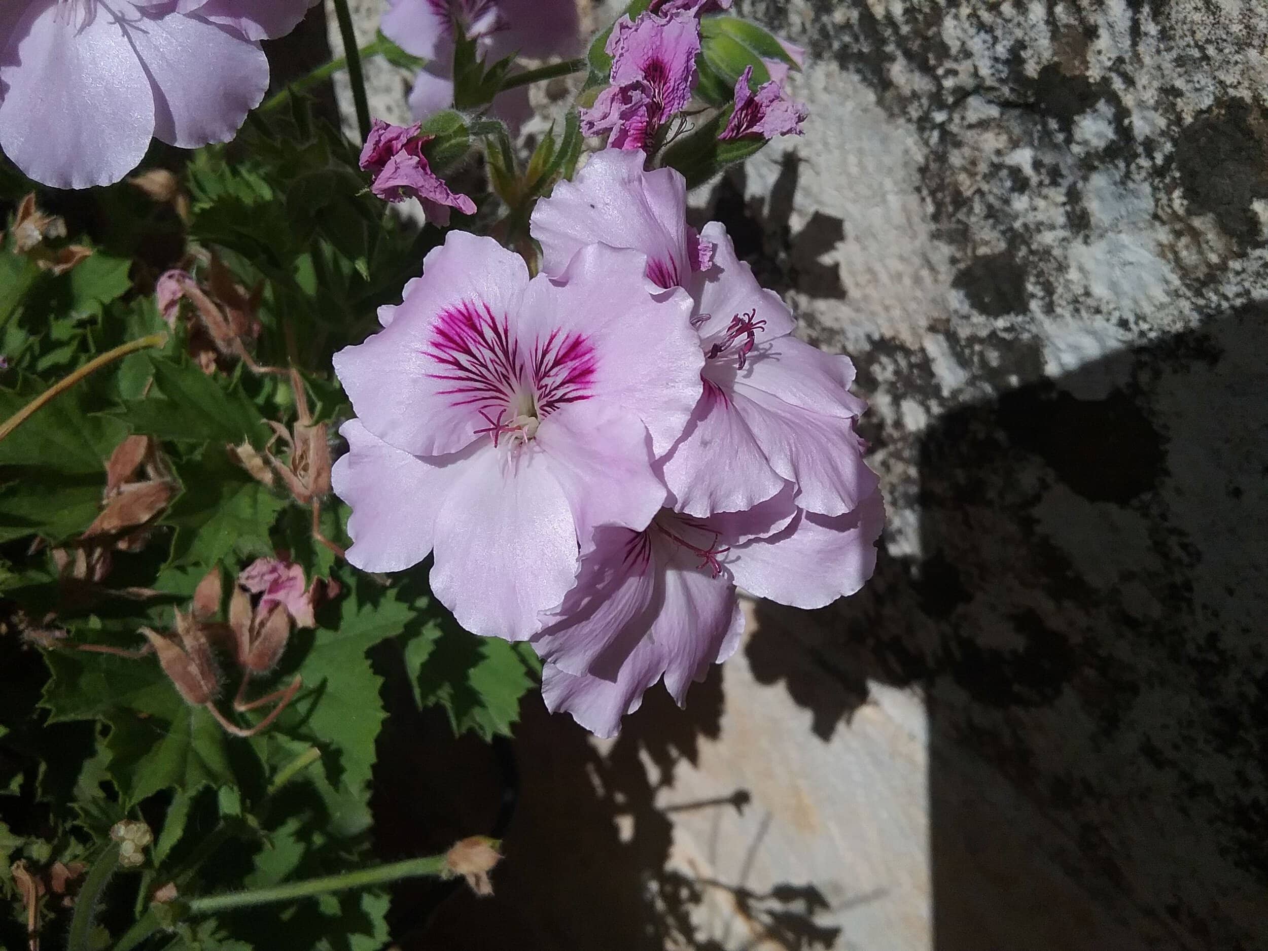 20150728_102614