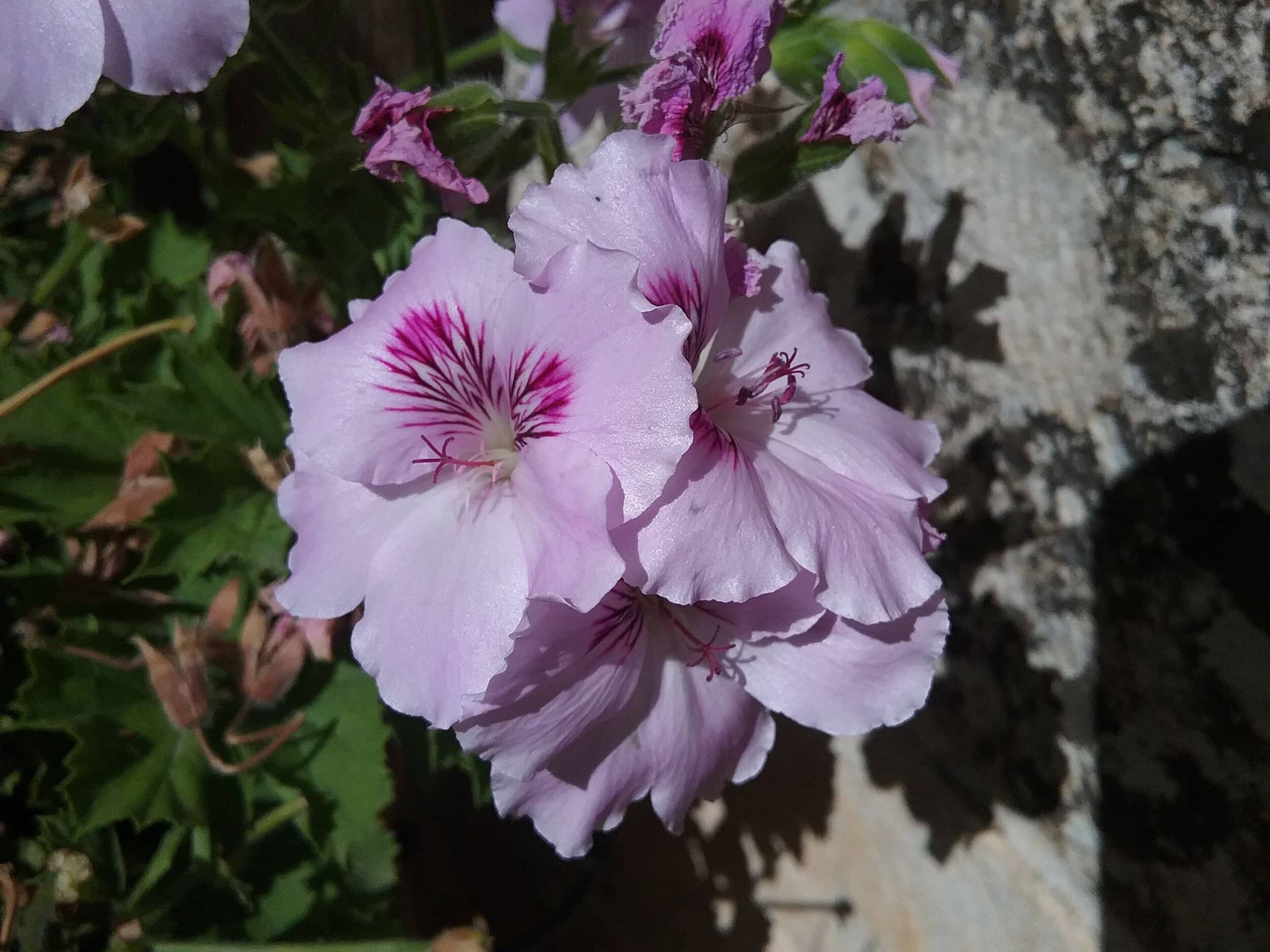 20150728_102619