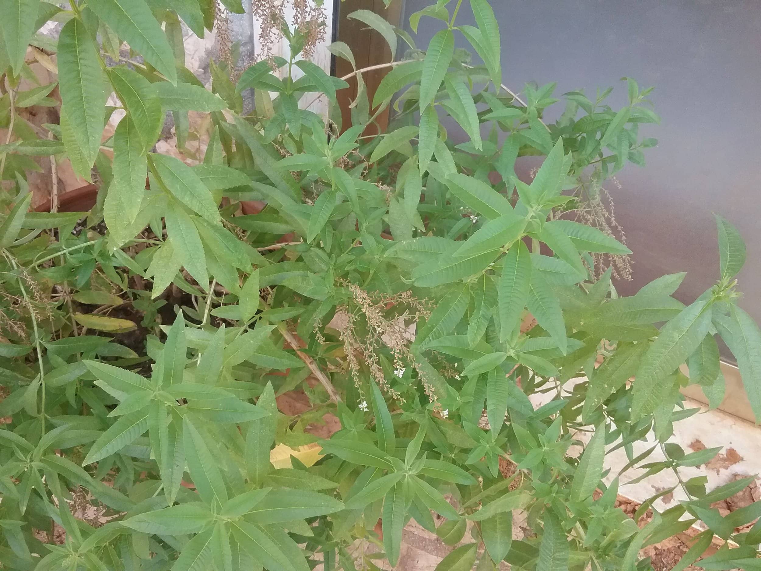 20150728_102647