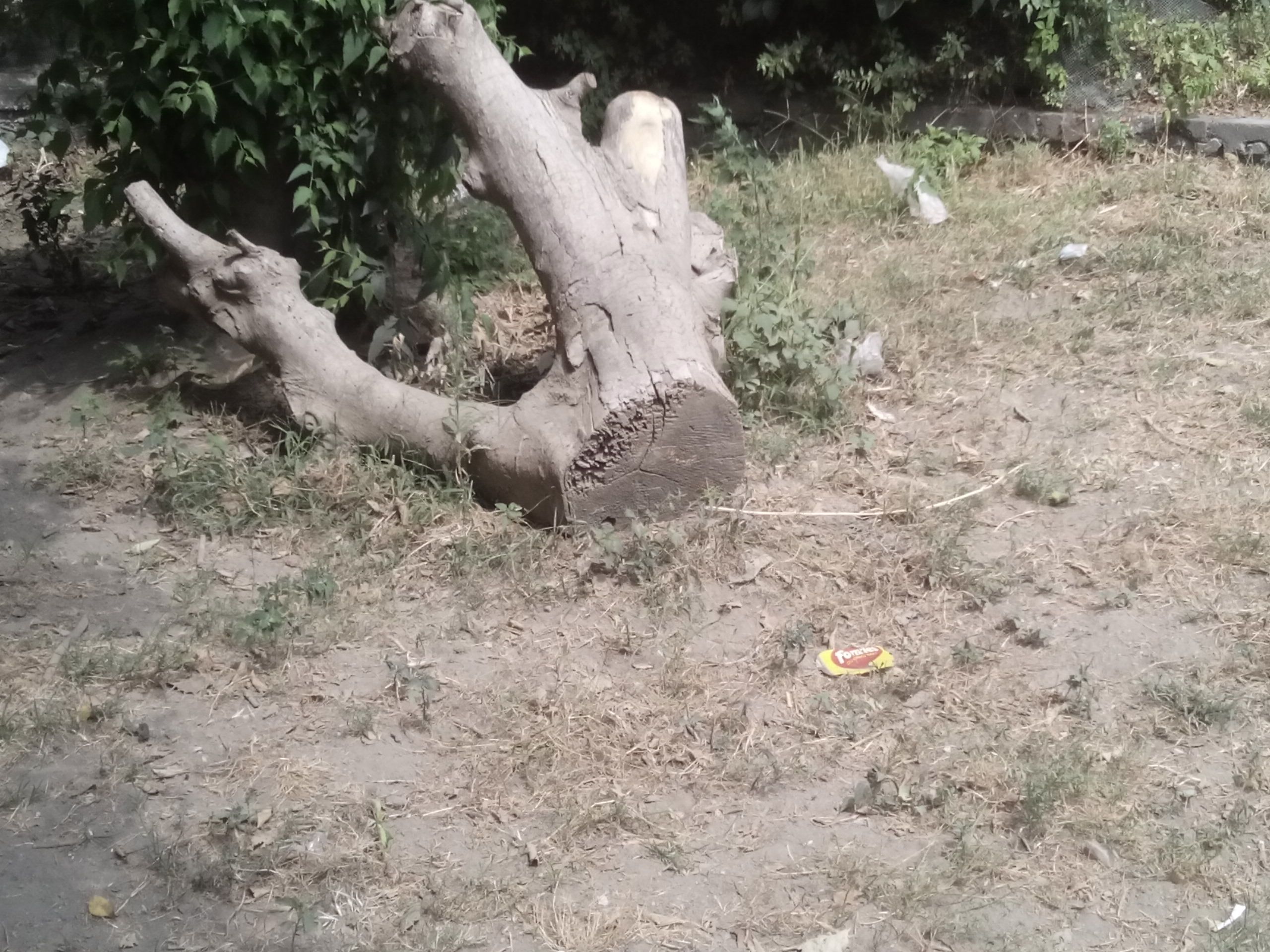 ASSO Entry (3)