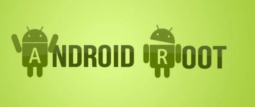 Ecco i motivi del perché accettare i permessi di root