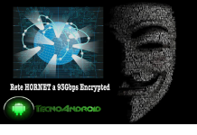 connessione anonima rete Hornet 93gbs