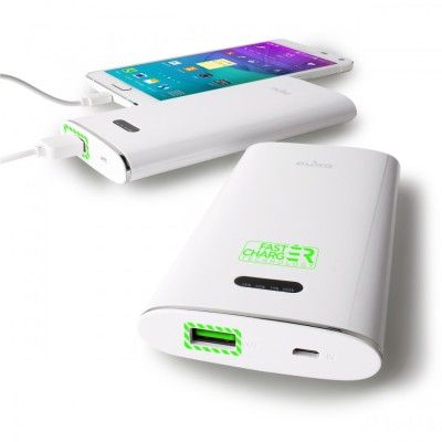 Puro Fast Charger