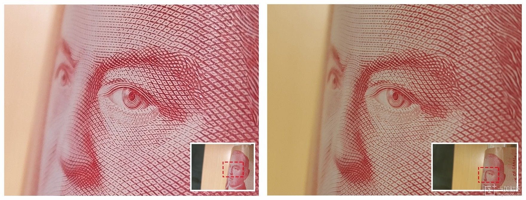 macrosample oneplus2_2