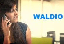 Waldio