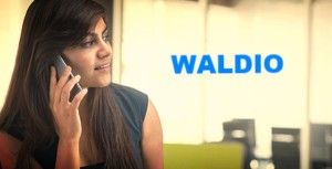 Waldio