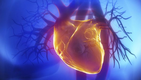 cuore artificiale