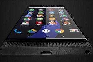 blackberry venice