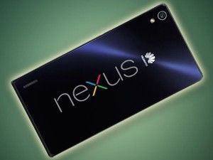 nexus