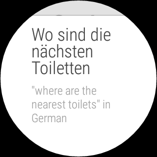 nexus2cee_google-translate-wear-2