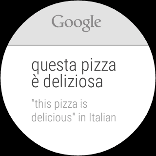 nexus2cee_google-translate-wear-3
