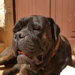 Samsung galaxy S6 edge plus
