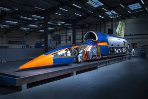 bloodhound