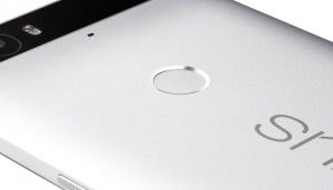 Nexus 5X e 6P