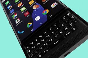 blackberry venice