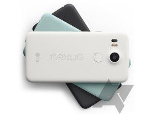 Nexus
