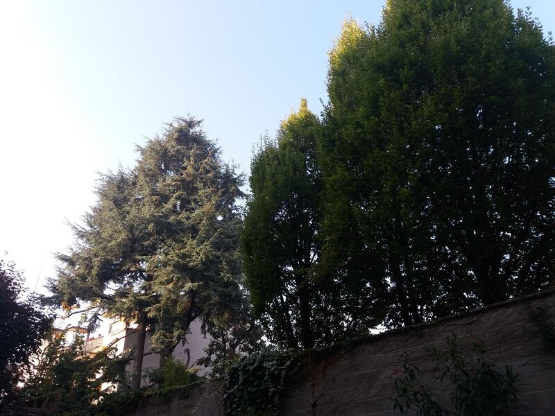 20151024_100306