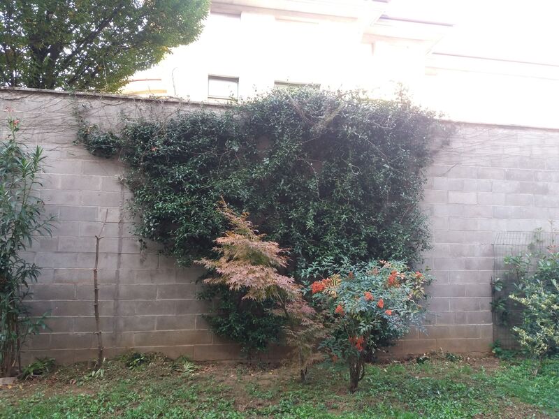 20151024_100331