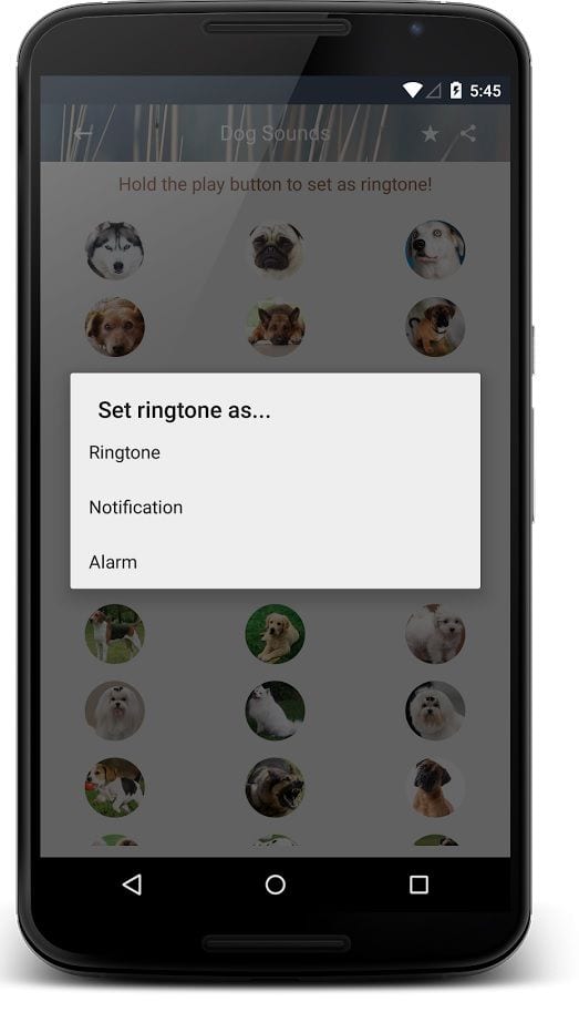 Dog-Sounds-and-Ringtone