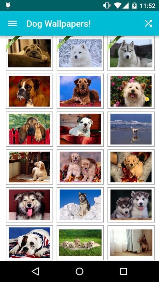 Dog-Wallpapers