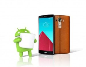 LG
