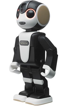 RoboHon_1