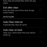 cache cleaner