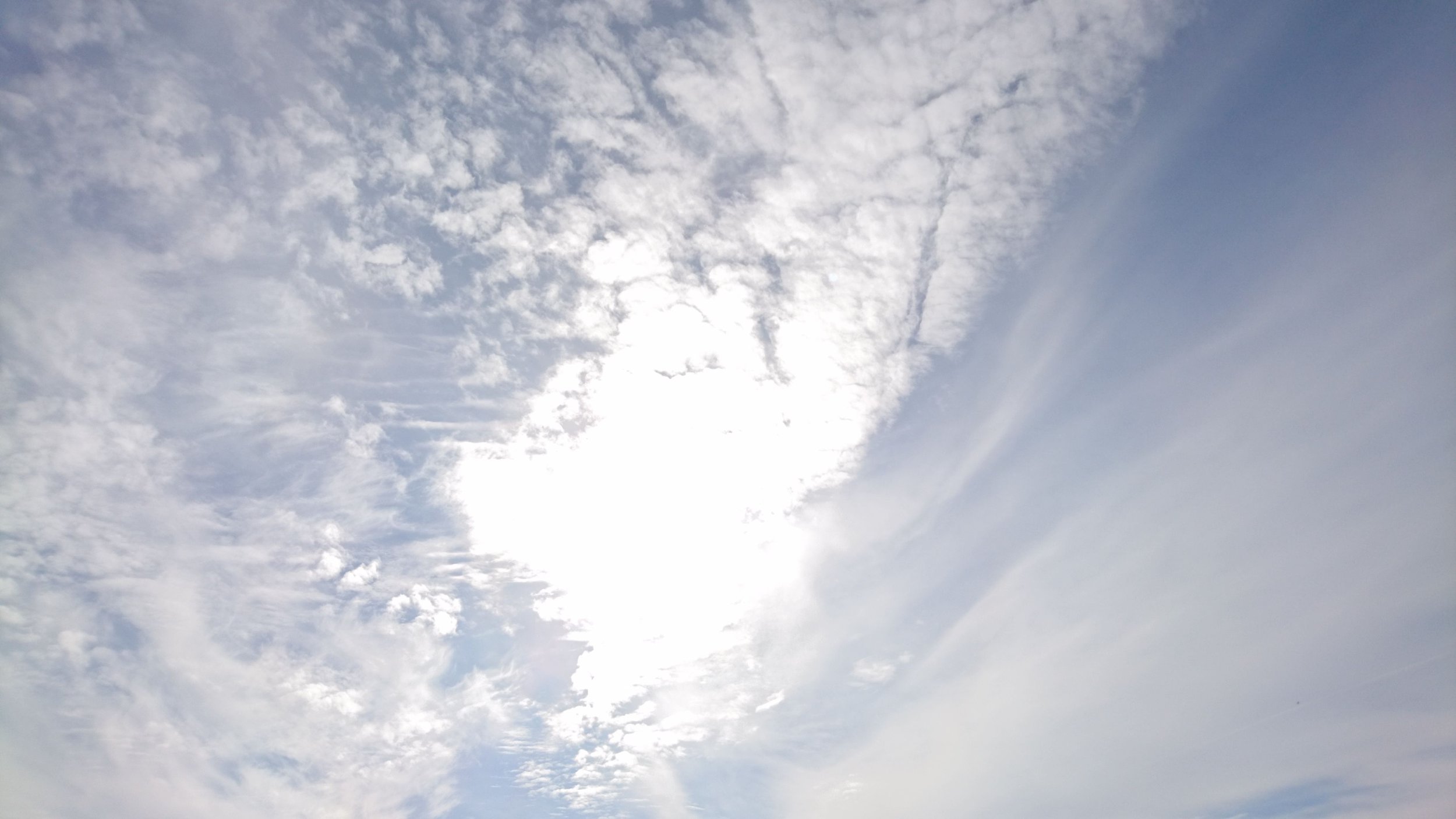 Xperia Z5 (17)