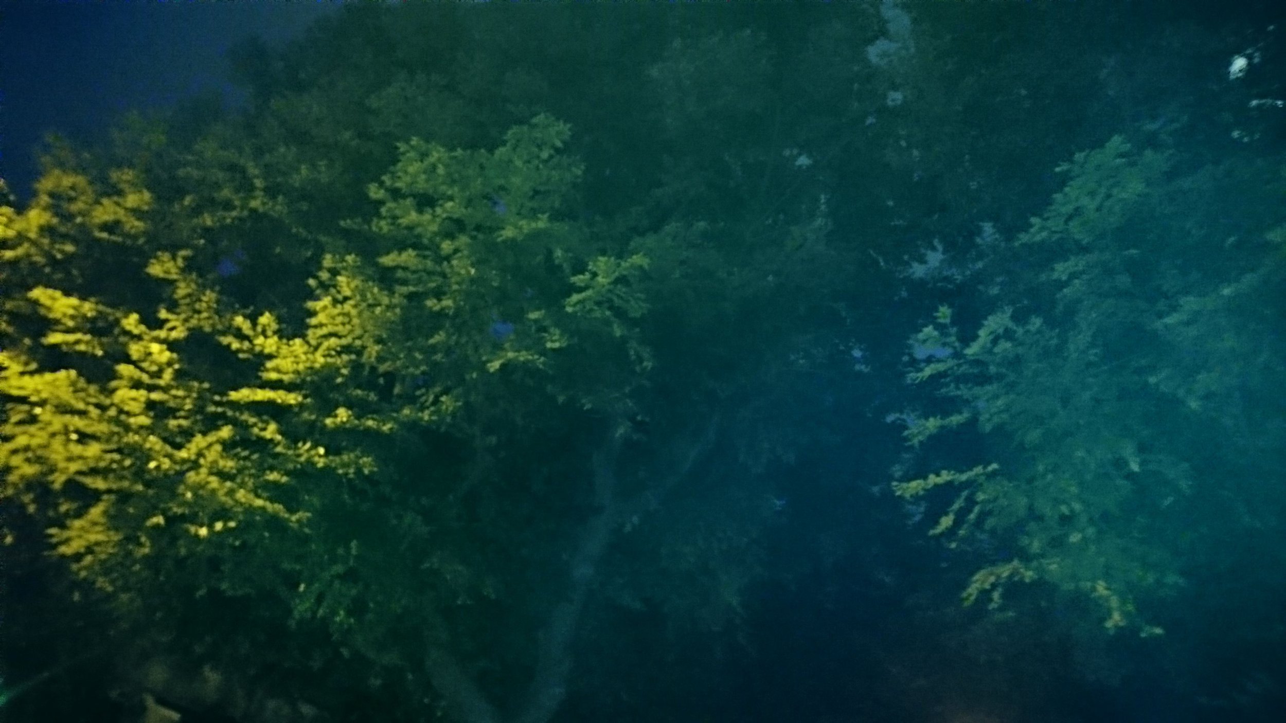 Xperia Z5 (25)