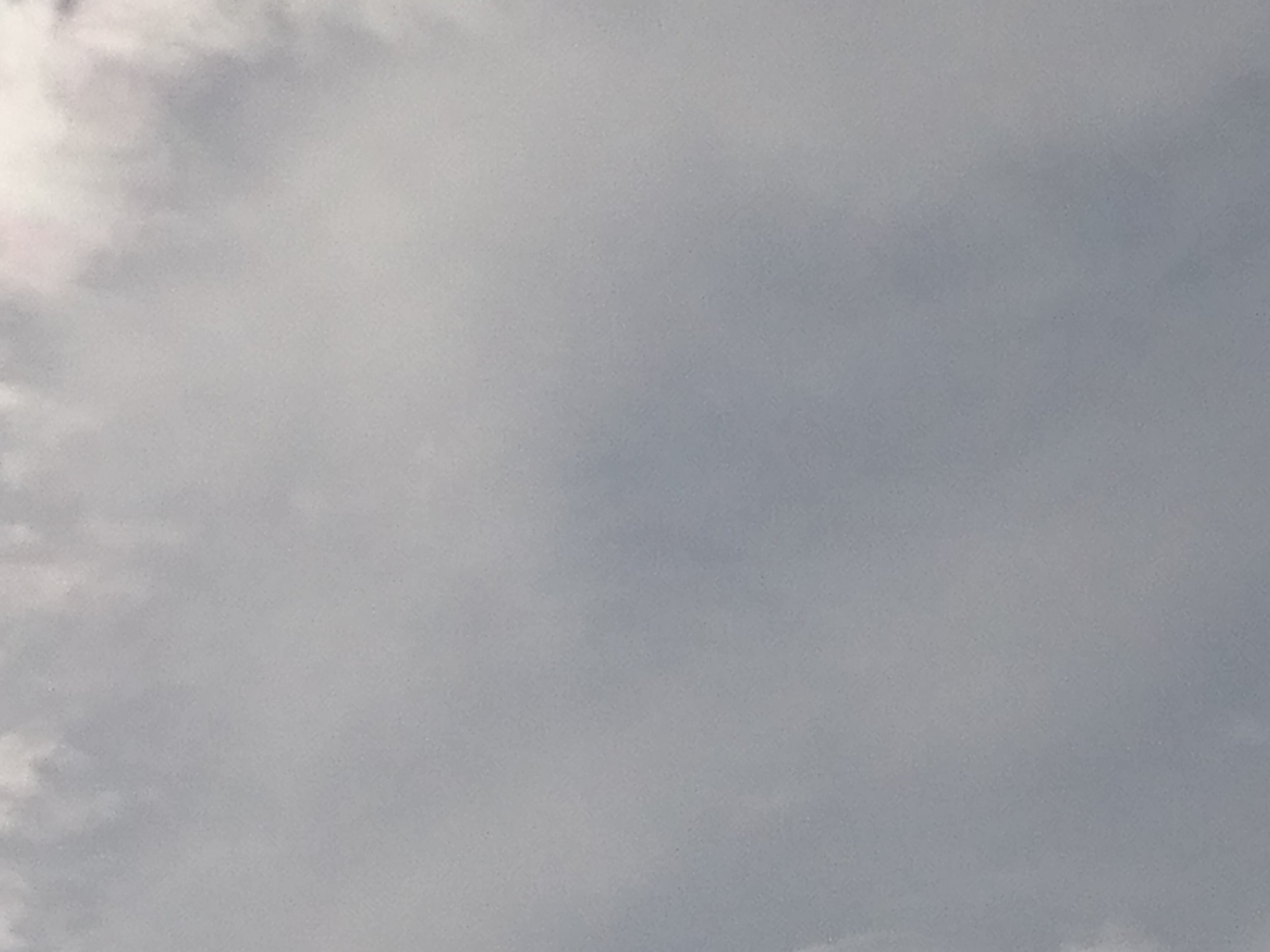Xperia Z5 (8)