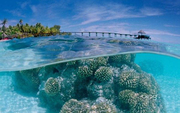 Barriera Corallina