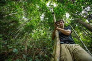 Deforestazione