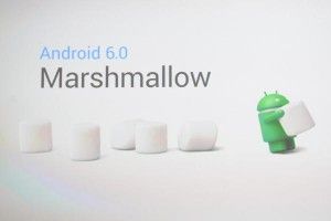 Marshmallow