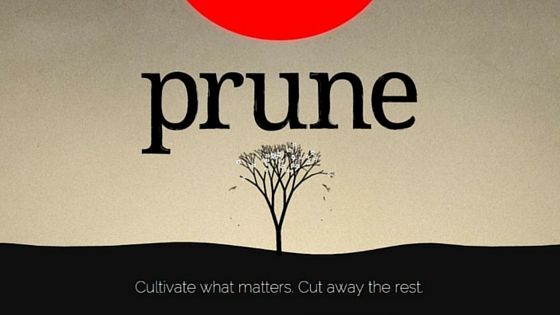 prune google play