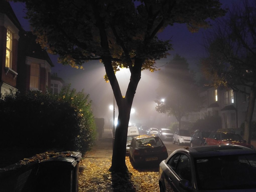 LGV1012 LG V10: la risoluzione delle foto è ottima