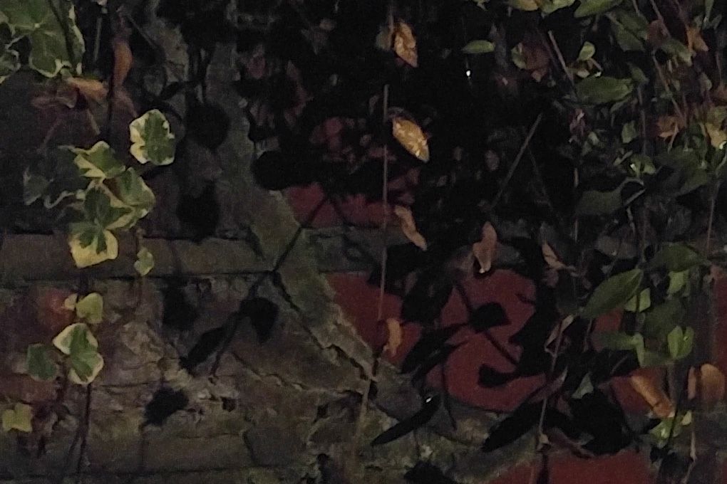 LGV106 LG V10: la risoluzione delle foto è ottima