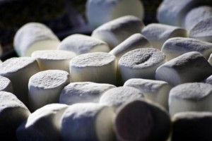 android 6.0 Marshmallow