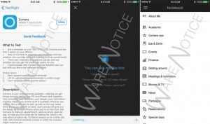 cortana per iOS