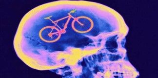 cervello bicicletta