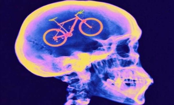 cervello bicicletta
