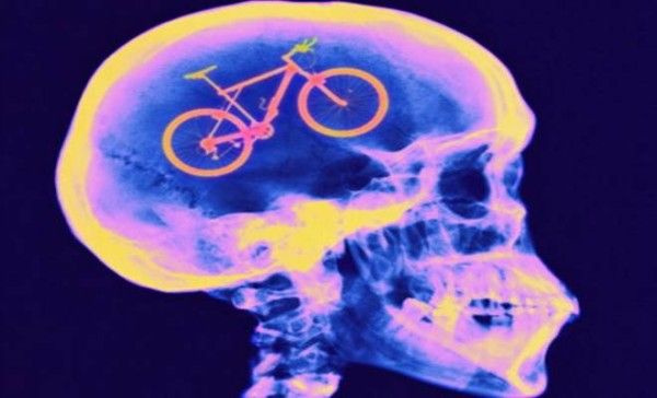 cervello bicicletta