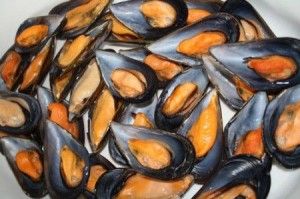 colla cozze